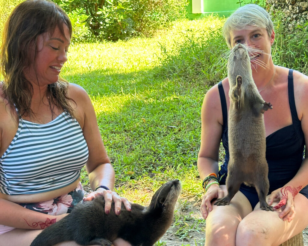 Holding Otters at the Otter Experience at Cheetah's Rock, Zanzibar