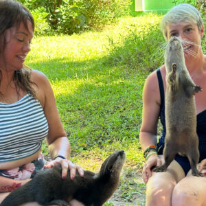 Holding Otters at the Otter Experience at Cheetah's Rock, Zanzibar