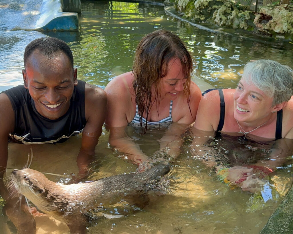 Swimming with Otters at the Otter Experience at Cheetah's Rock, Zanzibar