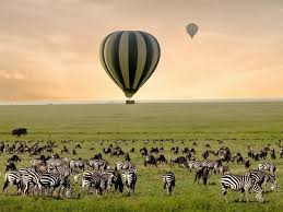 Hot Air Balloon Safari in Serengeti flying over green season landscape with zebra herds on the plains below.