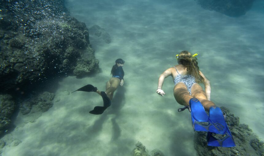 7 Stunning Snorkling Spots in Zanzibar 2026 Guide