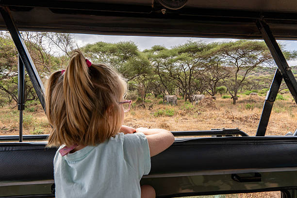 Young girl watching an African elephant herd during a family game drive in Lake Manyara National Park Tanzania