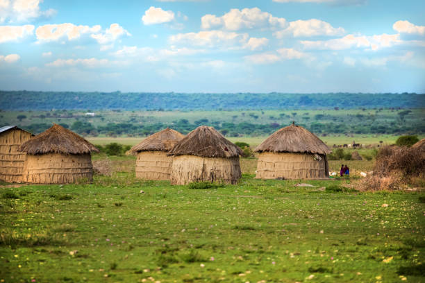 Traditional Maasai houses with grass roofs in an African village during Maasai Village Tours in Tanzania