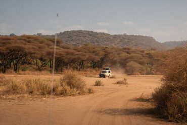 Off-road safari in Tanzania vehicle driving through Lake Manyara National Park