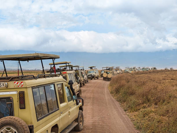 Off-road safari in Tanzania tourists exploring Ngorongoro Conservation Area