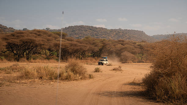 Off-road safari in Tanzania vehicle driving through Lake Manyara National Park