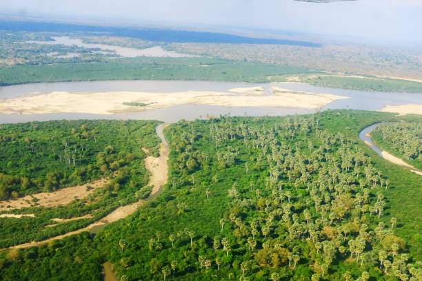 Aerial view of Selous Game Reserve with green landscape and Rufiji River, top destination in Tanzania