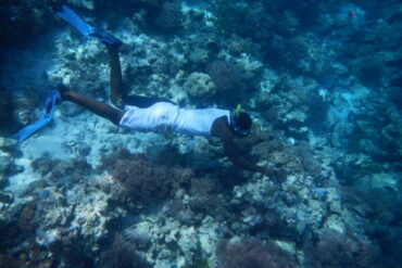 Freestyle diver snorkeling near Mnemba Island coral reef, one of the Best Snorkeling Spots in Zanzibar