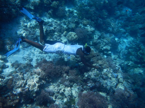 Freestyle diver snorkeling near Mnemba Island coral reef, one of the Best Snorkeling Spots in Zanzibar