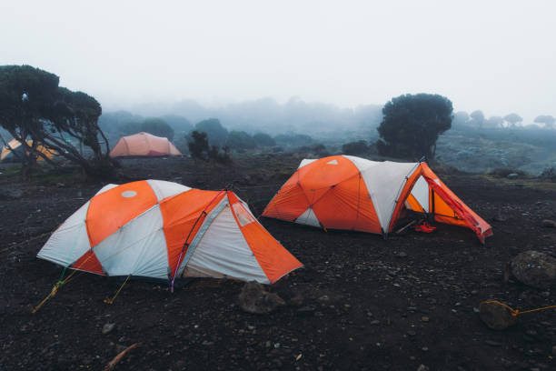 Colorful summit tents on Mount Kilimanjaro showcasing essential sleeping gear for climbers following a Mount Kilimanjaro Packing List