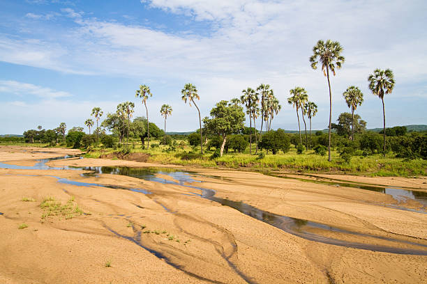 Scenic river valleys in Ruaha National Park Tanzania showcasing landscapes and wildlife for Ruaha National Park Safari Guide