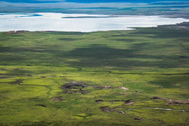 Aerial view of Ngorongoro Crater in northern Tanzania showing wildlife plains and the unique volcanic caldera landscape