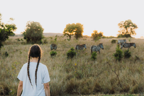 Solo female traveler watching zebras in Serengeti National Park, Tanzania during a guided safari