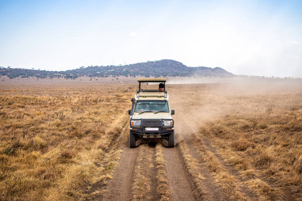Tourists enjoying a thrilling safari in Tanzania’s dry season with wildlife in the savanna