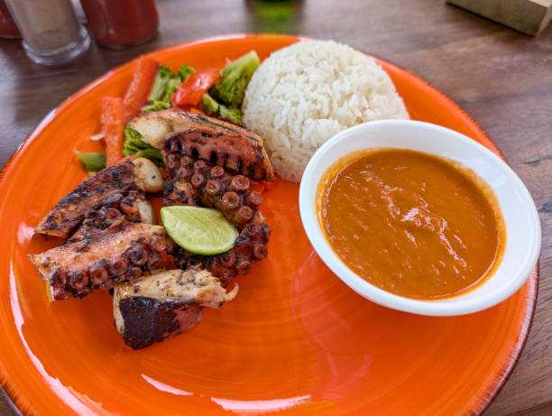 Unique Foods in Zanzibar showcasing octopus curry served with rice on a plate
