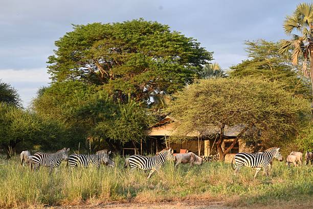 Eco-friendly safari tents at Chem Chem Lodge near Lake Manyara National Park promoting sustainable tourism in Tanzania