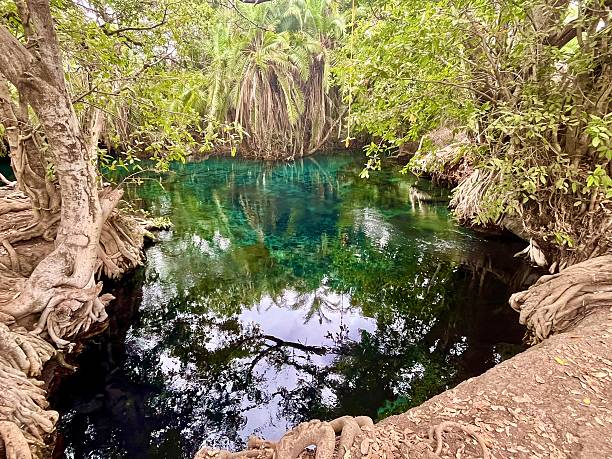 Chemka Hot Springs in Rundugai near Mount Kilimanjaro Tanzania showcasing natural beauty and environmental awareness for Kilimanjaro adventure tours
