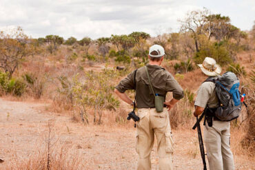 Are Walking Safaris Safe in Tanzania? Tourist with armed safari guide observing elephant in Selous Game Reserve