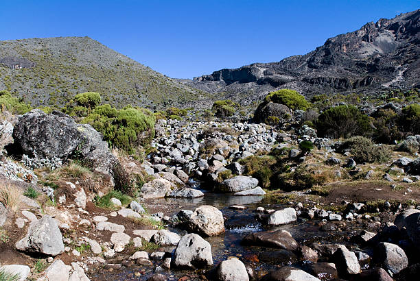 Lake Chala waterfall streams on the slopes of Mount Kilimanjaro in Tanzania, one of the scenic natural attractions near Kilimanjaro