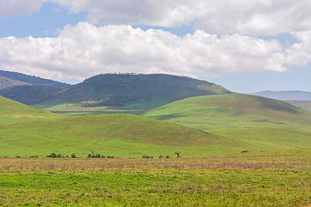 Panoramic view of Ngorongoro Crater caldera in Tanzania - Best Safari Tours in Tanzania
