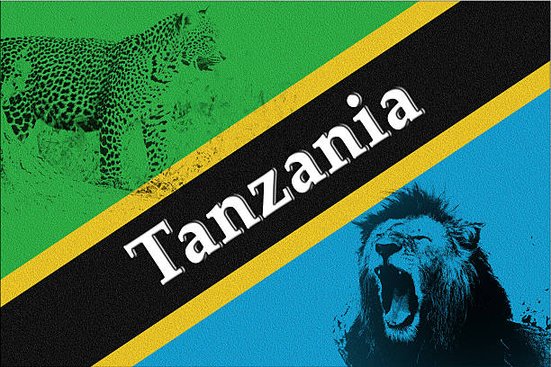Tanzania Travel Checklist safari postcard with Tanzania flag lion and leopard wildlife illustration
