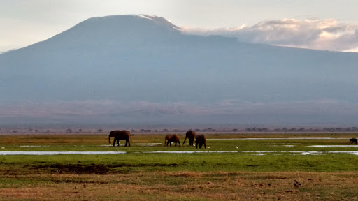 This was a fantastic experience made even more memorable by the fantastic work of January and his team