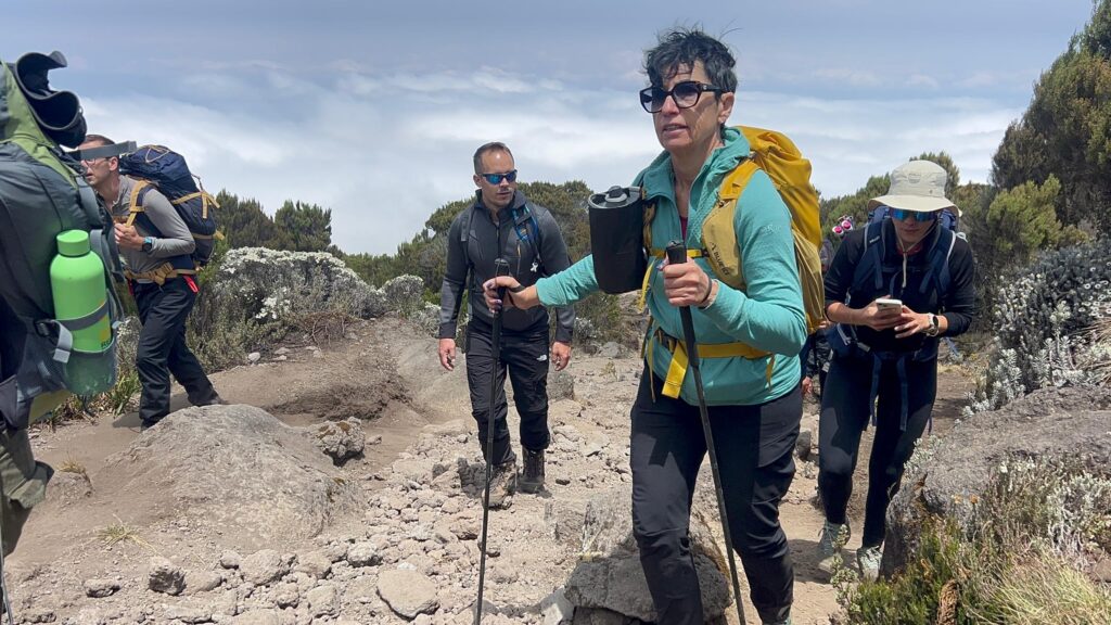 Group of climbers hiking up the slopes of Mount Kilimanjaro during the dry season, illustrating Climbing Mount Kilimanjaro Facts and the best time to climb for clear weather and higher summit success in Tanzania.