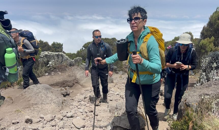 Tanzania Trekking Experience: From the First Step to the Final Summit (2026-2027)