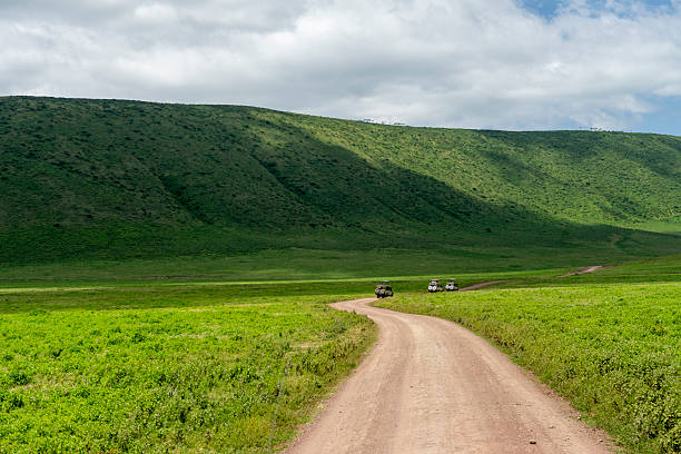 Ngorongoro Crater grasslands with diverse wildlife in Tanzania – Tanzania Safari Guide