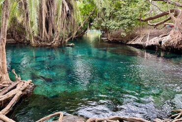 Crystal-clear water at Chemka Hot Springs in Rundugai near Mount Kilimanjaro during a relaxing Chemka Hot Springs day trip from Moshi, Tanzania.