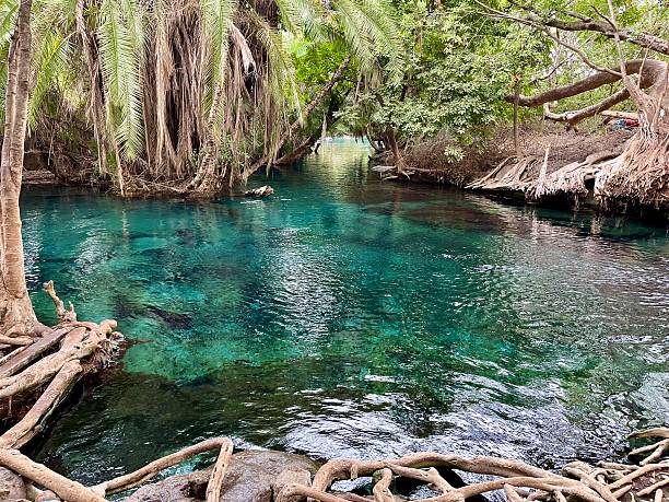 Crystal-clear water at Chemka Hot Springs in Rundugai near Mount Kilimanjaro during a relaxing Chemka Hot Springs day trip from Moshi, Tanzania.