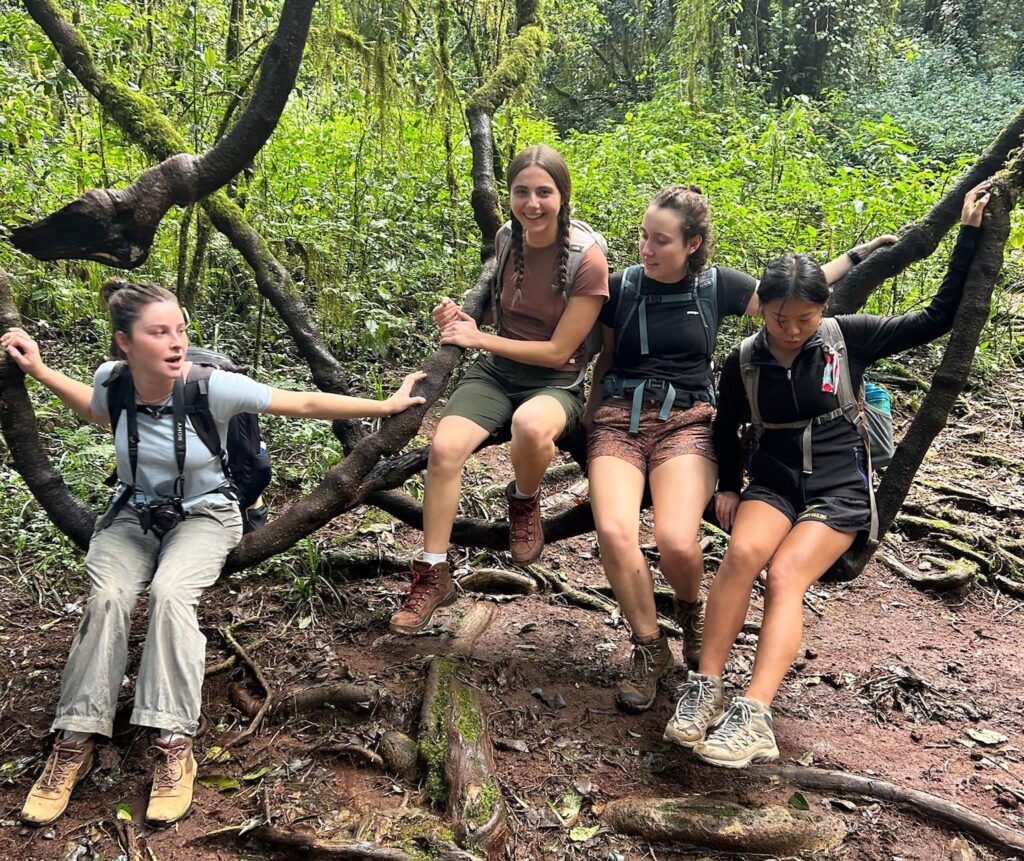 Affordable Solo Safari in Tanzania 2026 travelers joining a group safari adventure in Serengeti