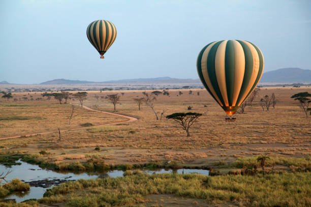 African wildlife landscape on safari in Tanzania