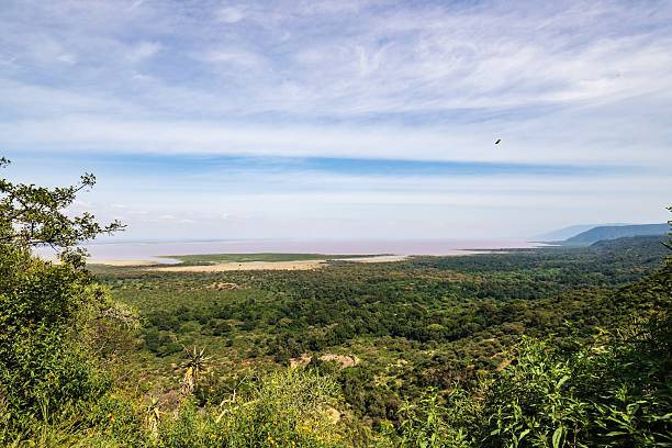 Beautiful landscape view during a Lake Manyara Safari in Tanzania