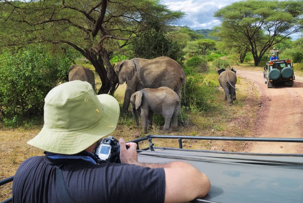 Tourists on a game drive photographing elephants in Lake Manyara National Park, Tanzania, representing a mid-range Tanzania safari experience