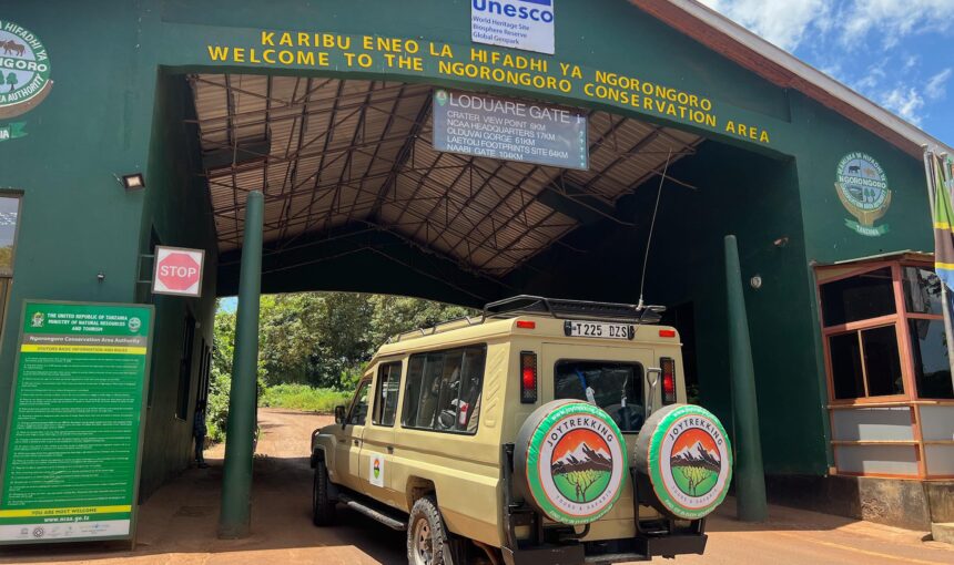 Best Ngorongoro Crater Safari Tours & Wildlife Experiences in 2026