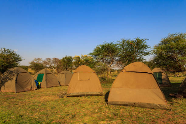 Safari campsite in Serengeti National Park, Tanzania showing budget camping accommodation used in Tanzania Safari Costs budget safari packages