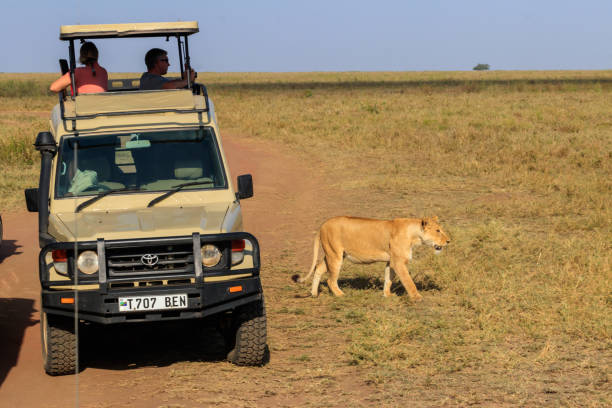 Budget Serengeti Safari – 6-Day Serengeti Drive-In Safari Cost Tanzania
