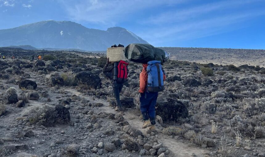 Mount Kilimanjaro Routes Explained: Pros, Cons & Key Differences (2026)