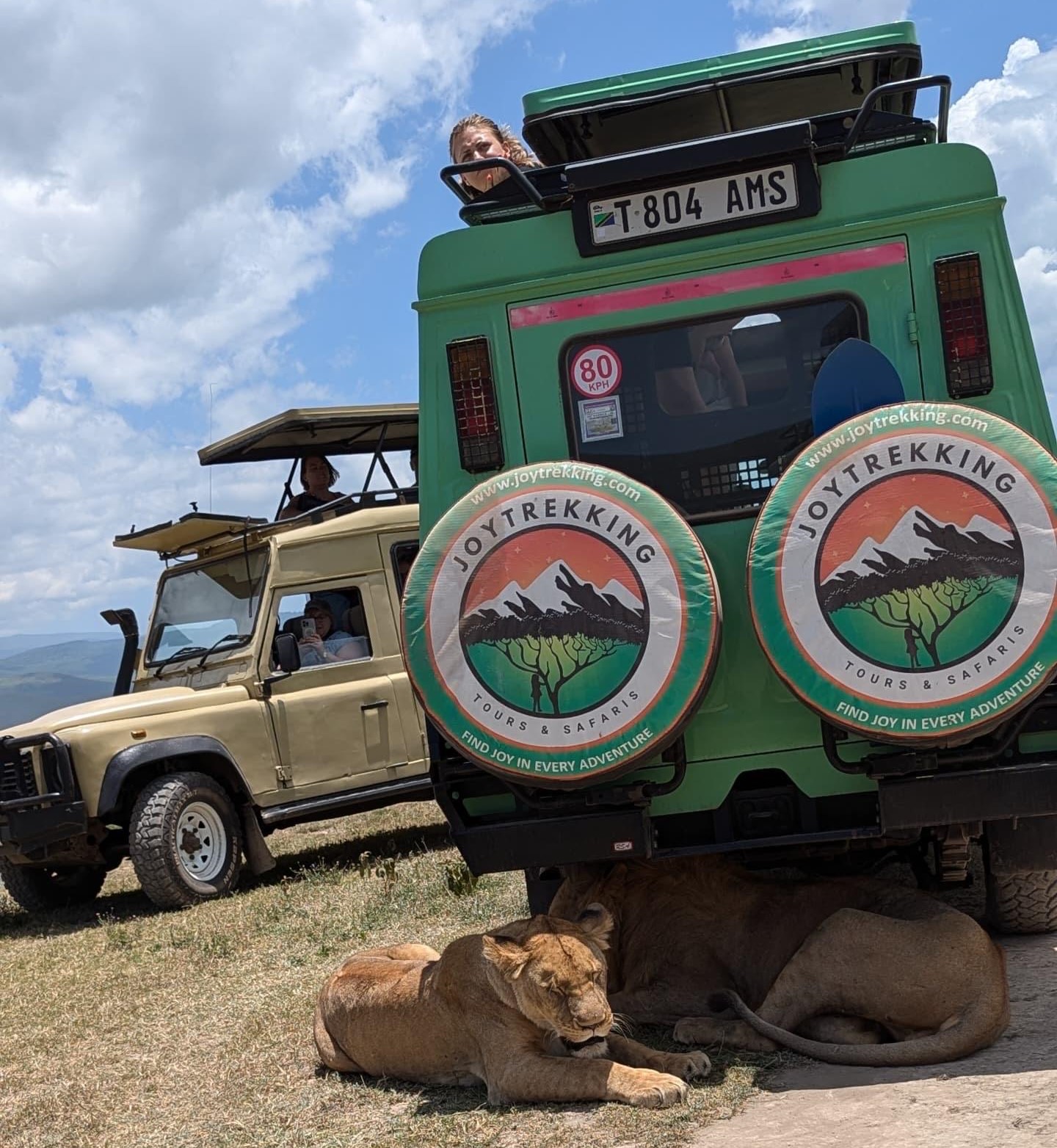 Safari Jeep Tanzania Tours showing two lions resting behind a safari jeep in Serengeti during a wildlife adventure