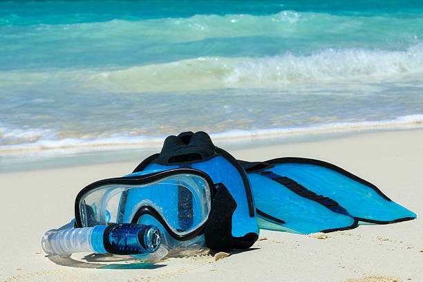 Scuba Diving in Tanzania showcasing diving in Mafia Island set one of the best vacation travel attractions with clear blue ocean waters and marine life