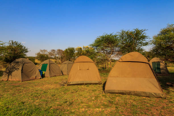 Serengeti camping safari cost budget camping safari campsite in Serengeti National Park Tanzania with tents in wilderness