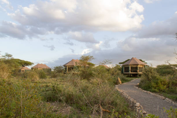 Serengeti camping safari cost luxury camping safari luxury tented camp in Serengeti National Park Tanzania Africa with premium safari accommodation
