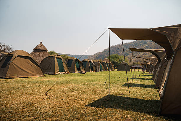 Serengeti camping safari cost mid-range camping safaris luxurious safari tents in African savanna Tanzania offering comfort and wilderness immersion