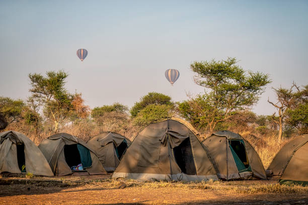 Serengeti camping safari cost hot air balloons flying over campsite in Serengeti National Park at sunrise with tents in African savanna