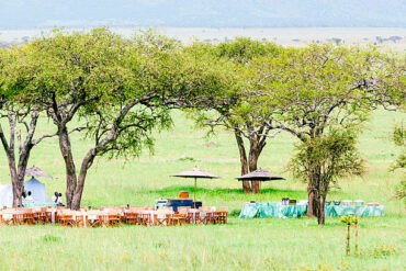 Tanzania luxury safari Serengeti breakfast setup with wildlife and acacia trees during morning game drive experience
