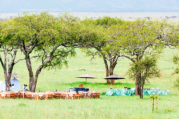 Tanzania luxury safari Serengeti breakfast setup with wildlife and acacia trees during morning game drive experience