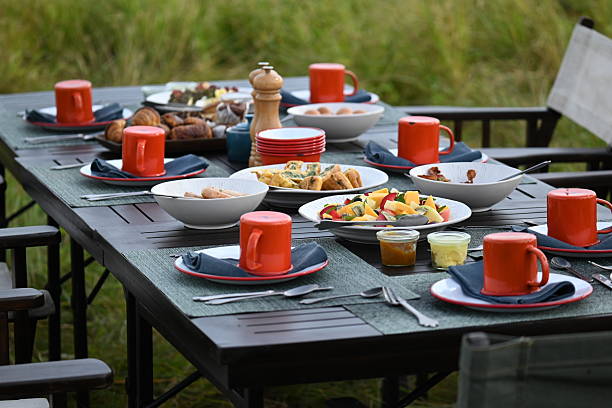 Tanzania luxury safari picnic-style dining setup in Serengeti National Park outdoor al fresco experience