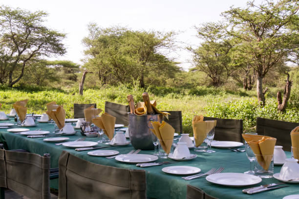 Tanzania luxury safari Cost elegant breakfast table set with champagne under acacia tree in Serengeti National Park