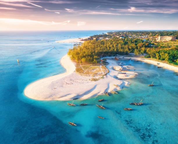 Zanzibar holiday cost view of aerial fishing boats on tropical coastline with sandy beach at sunset